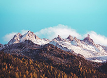 B体育登录入口-樊振东德甲赛场迎首胜